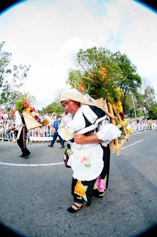 Desfile de Silleteros, Feria de las Flores, Medell...