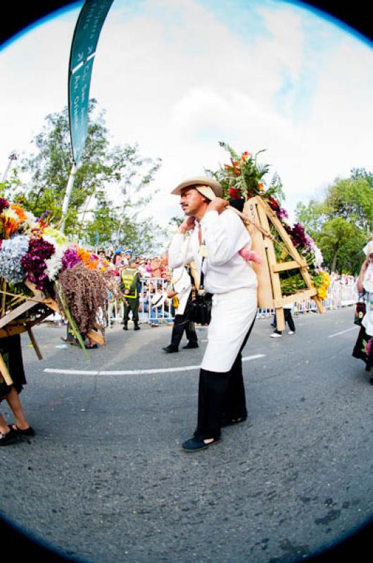 Desfile de Silleteros, Feria de las Flores, Medell...