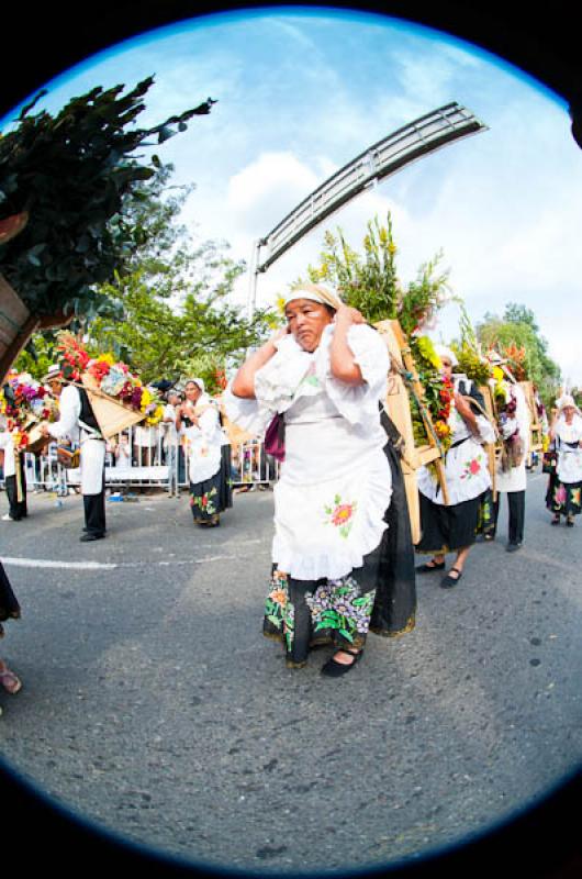 Desfile de Silleteros, Feria de las Flores, Medell...