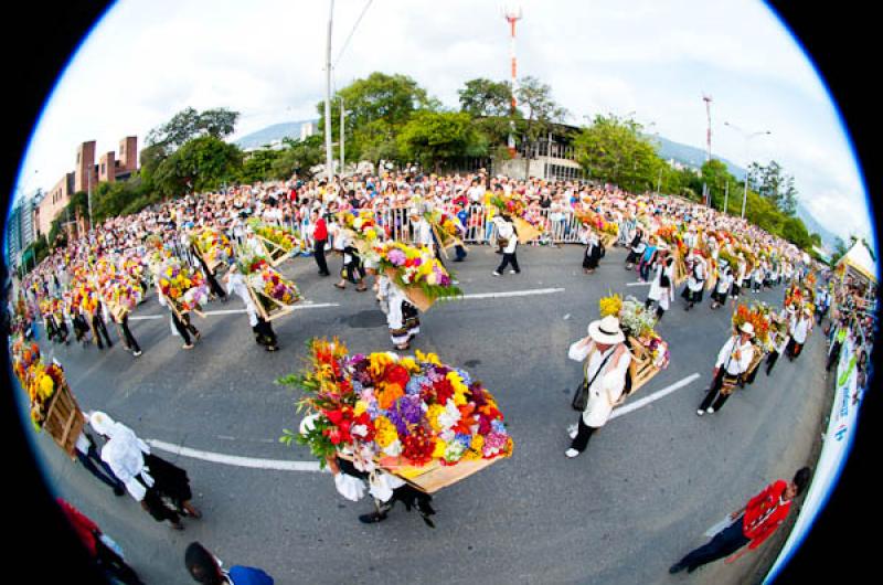 Desfile de Silleteros, Feria de las Flores, Medell...