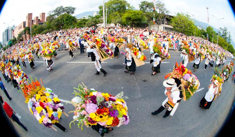 Desfile de Silleteros, Feria de las Flores, Medell...