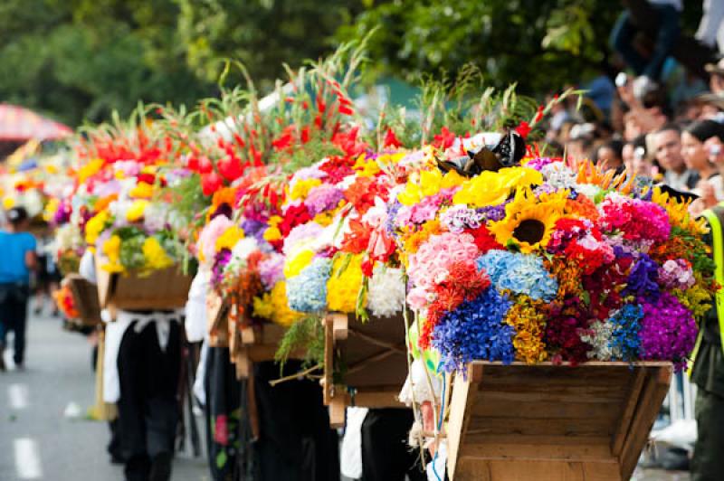 Desfile de Silleteros, Feria de las Flores, Medell...