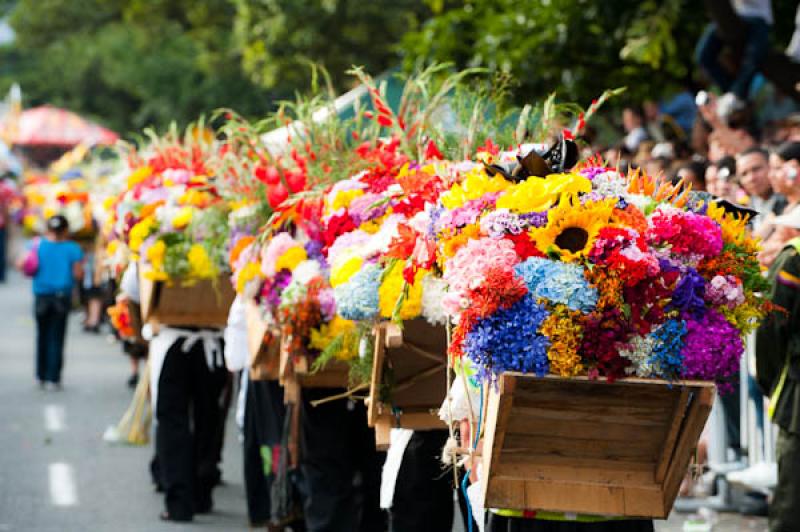 Desfile de Silleteros, Feria de las Flores, Medell...