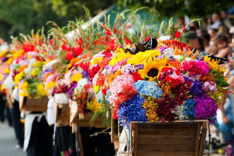 Desfile de Silleteros, Feria de las Flores, Medell...