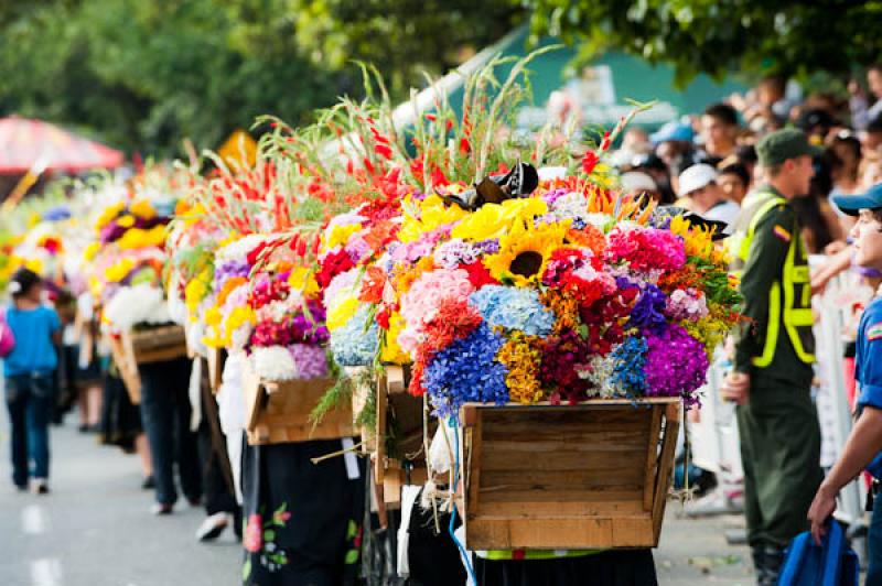 Desfile de Silleteros, Feria de las Flores, Medell...