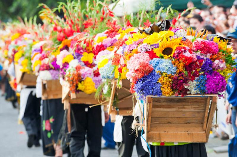 Desfile de Silleteros, Feria de las Flores, Medell...