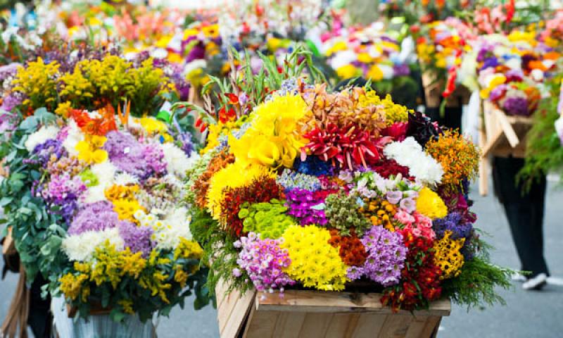 Desfile de Silleteros, Feria de las Flores, Medell...