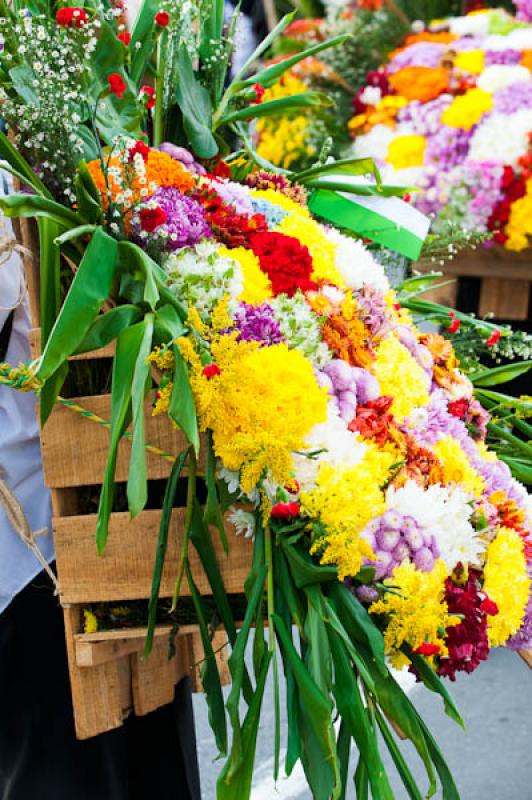 Desfile de Silleteros, Feria de las Flores, Medell...