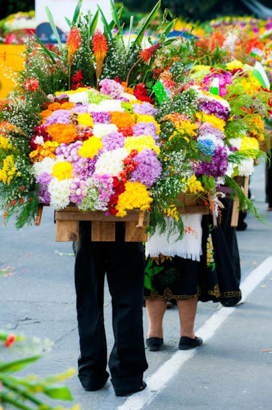 Desfile de Silleteros, Feria de las Flores, Medell...