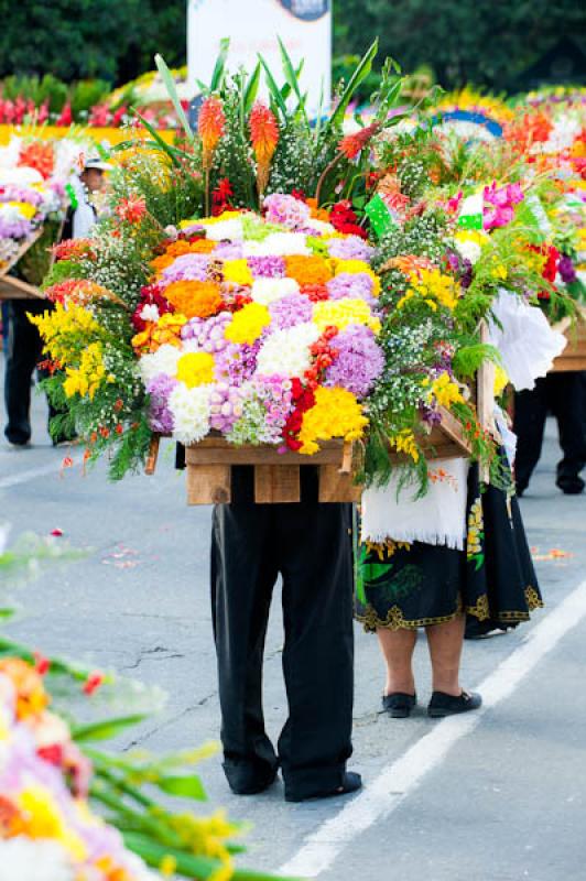 Desfile de Silleteros, Feria de las Flores, Medell...