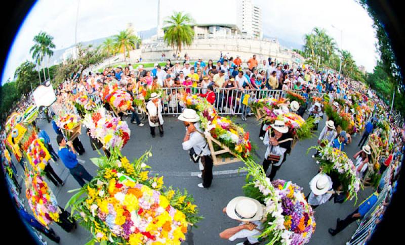 Desfile de Silleteros, Feria de las Flores, Medell...