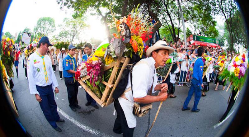 Desfile de Silleteros, Feria de las Flores, Medell...