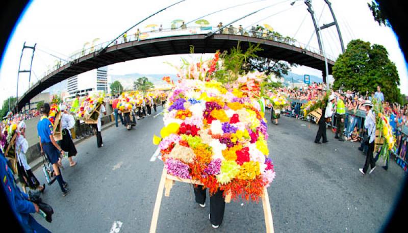 Desfile de Silleteros, Feria de las Flores, Medell...