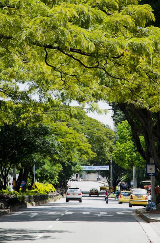 Dia Sin Carro, El Poblado, Medellin, Antioquia, Co...