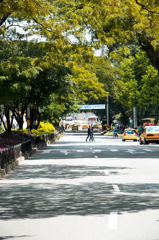 Dia Sin Carro, El Poblado, Medellin, Antioquia, Co...