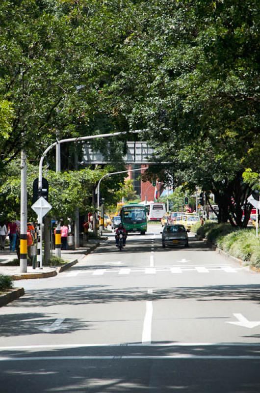 Dia Sin Carro, El Poblado, Medellin, Antioquia, Co...