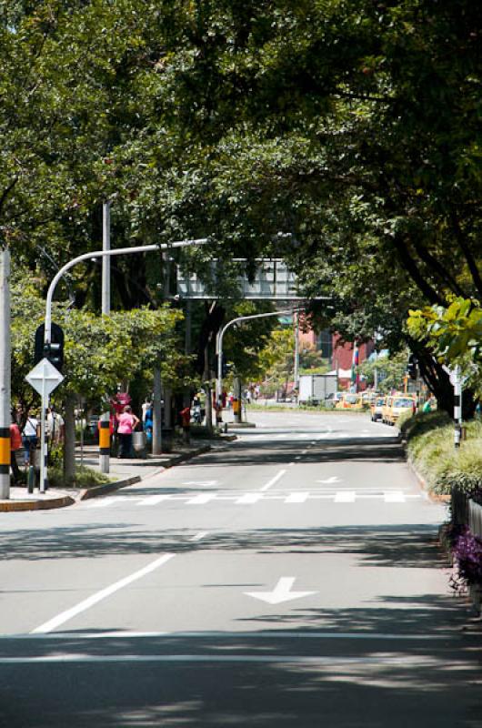 Dia Sin Carro, El Poblado, Medellin, Antioquia, Co...