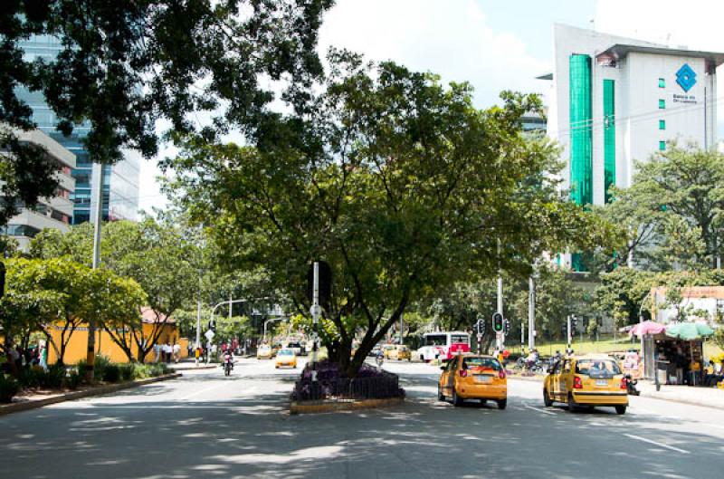 Dia Sin Carro, El Poblado, Medellin, Antioquia, Co...