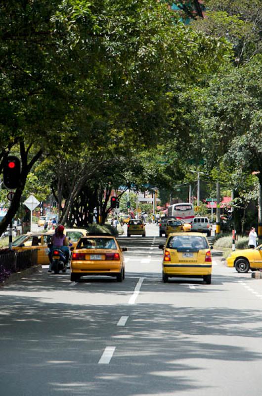 Dia Sin Carro, El Poblado, Medellin, Antioquia, Co...