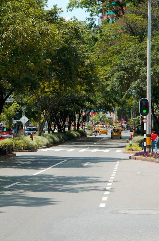 Dia Sin Carro, El Poblado, Medellin, Antioquia, Co...