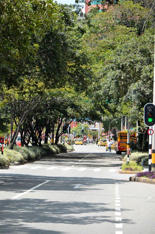 Dia Sin Carro, El Poblado, Medellin, Antioquia, Co...