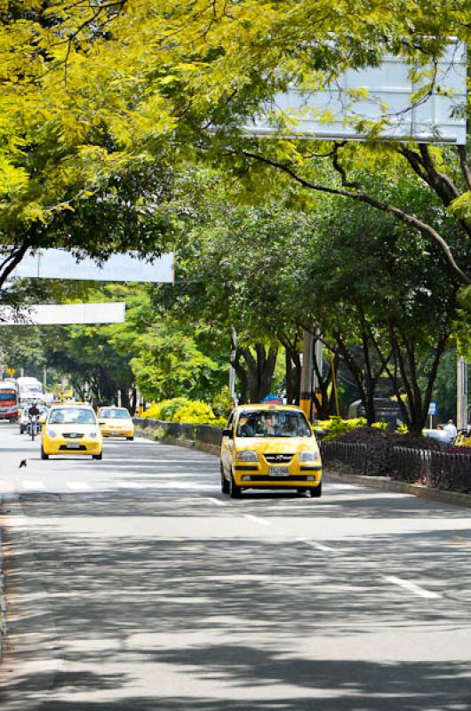 Dia Sin Carro, El Poblado, Medellin, Antioquia, Co...