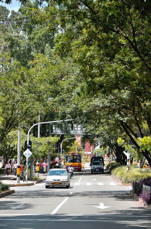 Dia Sin Carro, El Poblado, Medellin, Antioquia, Co...