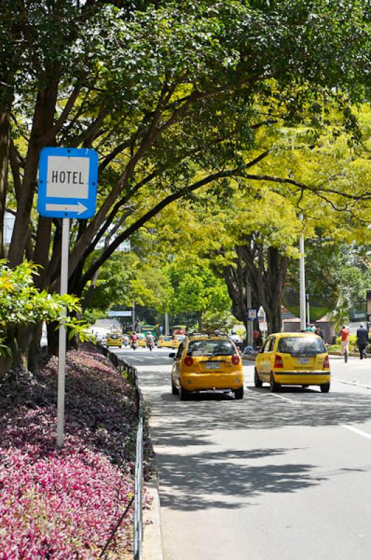 Dia Sin Carro, El Poblado, Medellin, Antioquia, Co...