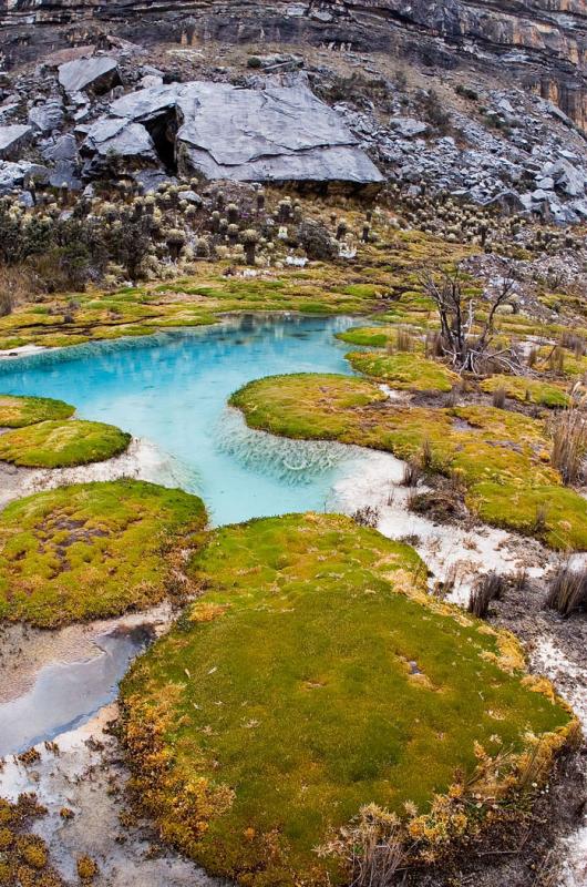 Piscinitas, Sierra Nevada del Cocuy, Boyaca, Colom...