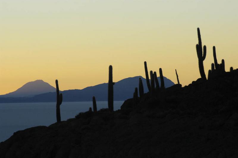 Isla del Pescador, Salar de Uyuni, Departamento de...