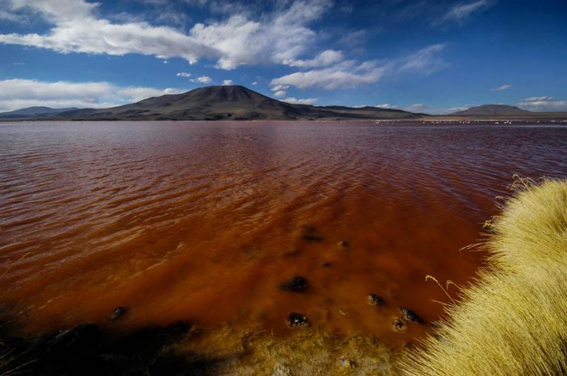 Laguna Colorada, Reserva Nacional de Fauna Andina ...