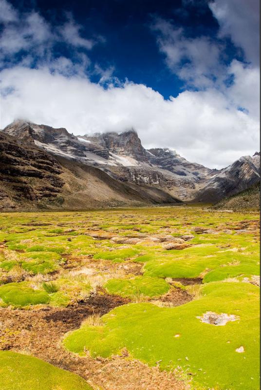 Valle de los Cojines, Sierra Nevada del Cocuy, Boy...