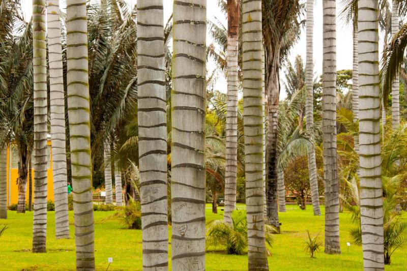 Jardin Botanico de Bogota Jose Celestino Mutis, Bo...