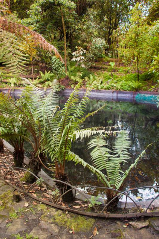 Jardin Botanico de Bogota Jose Celestino Mutis, Bo...