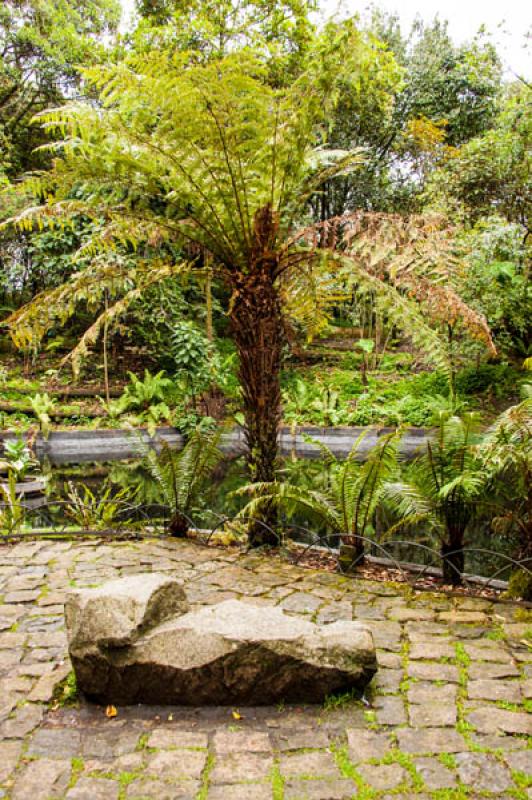 Jardin Botanico de Bogota Jose Celestino Mutis, Bo...