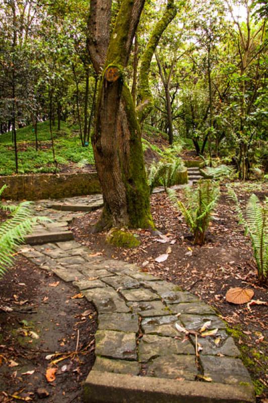 Jardin Botanico de Bogota Jose Celestino Mutis, Bo...