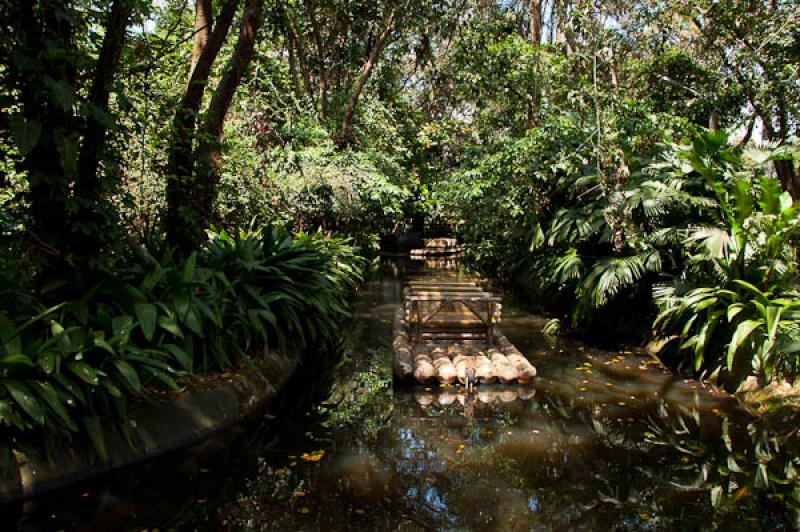 Jungla, Parque Norte Medellin, Medellin, Antioquia...