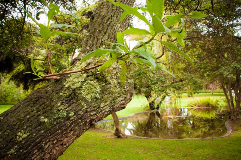 Jardin Botanico de Bogota Jose Celestino Mutis, Bo...