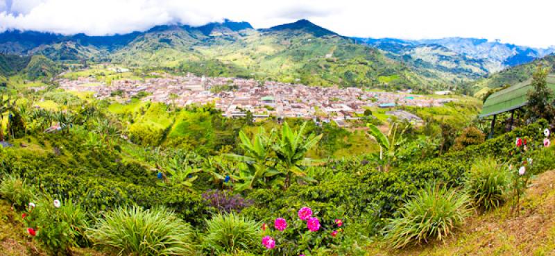 Alto de las Flores, Jardin, Suroeste Antioqueño, ...