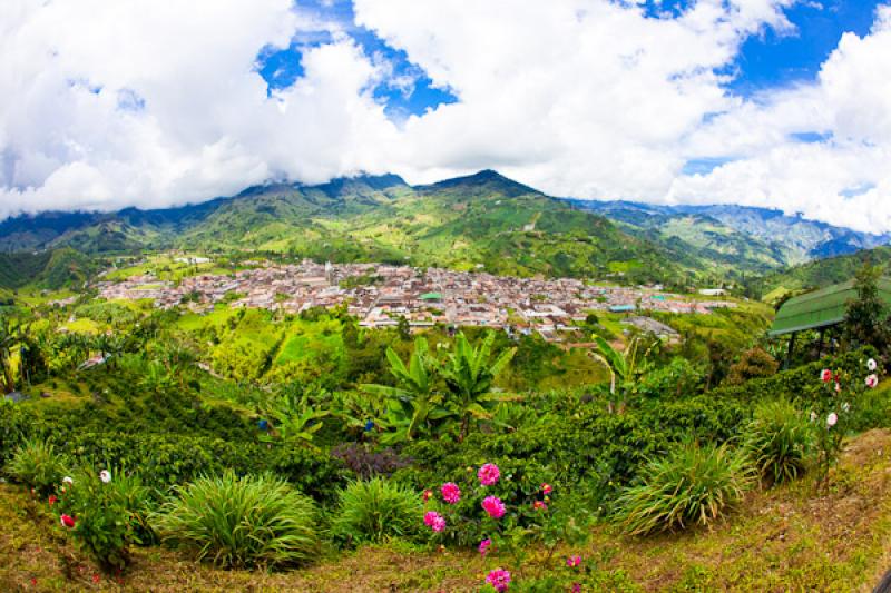 Alto de las Flores, Jardin, Suroeste Antioqueño, ...