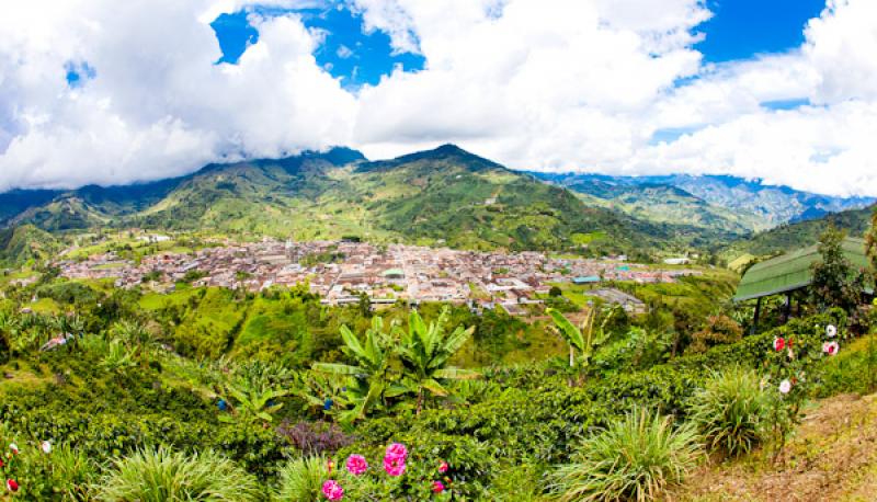 Alto de las Flores, Jardin, Suroeste Antioqueño, ...