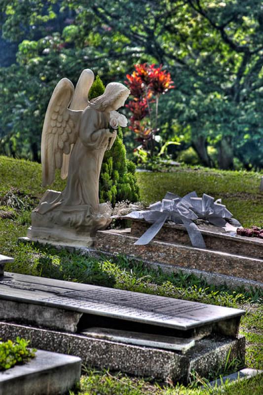 Funeraria y Parque Cementerio Campos de Paz, Medel...