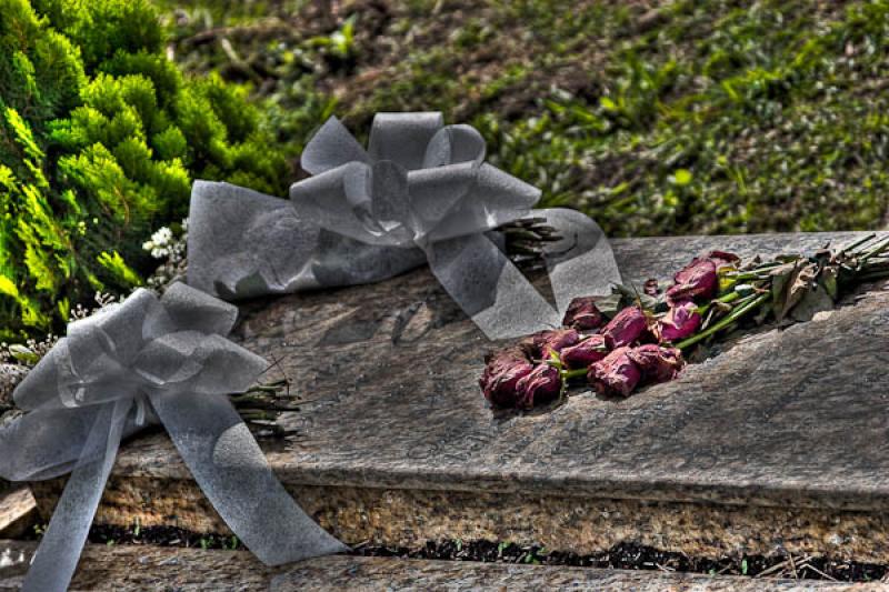 Funeraria y Parque Cementerio Campos de Paz, Medel...