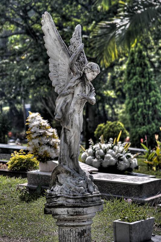 Funeraria y Parque Cementerio Campos de Paz, Medel...