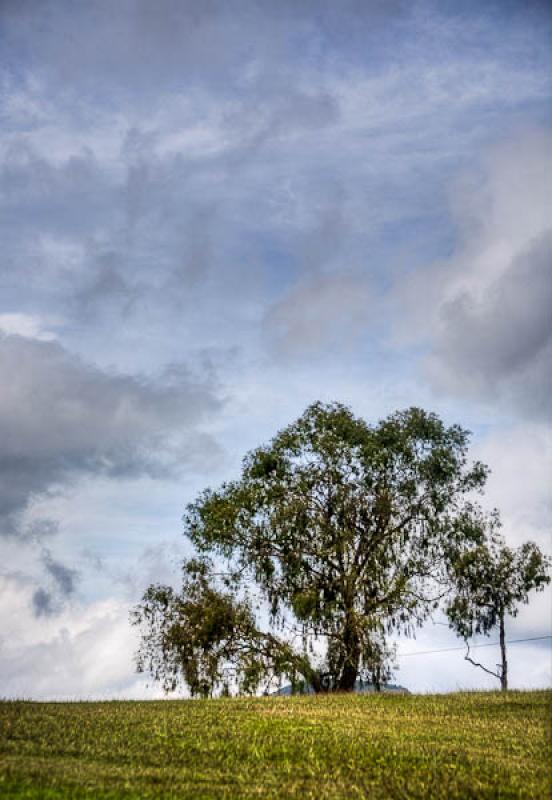 Campo de Jerico, Suroeste Antioqueño, Antioquia, ...