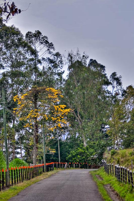 Jerico, Suroeste Antioqueño, Antioquia, Colombia