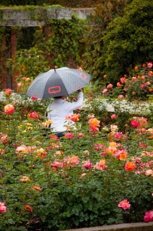 Jardin Botanico de Bogota Jose Celestino Mutis, Bo...