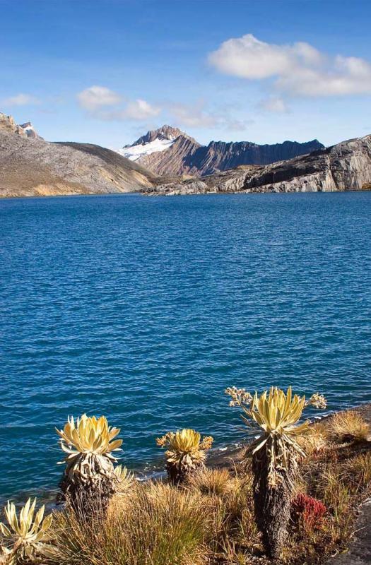 Laguna la Plaza, Sierra Nevada del Cocuy, Boyaca, ...