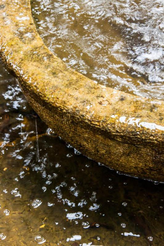 Detalle de Fuente, Jardin Botanico de Bogota Jose ...