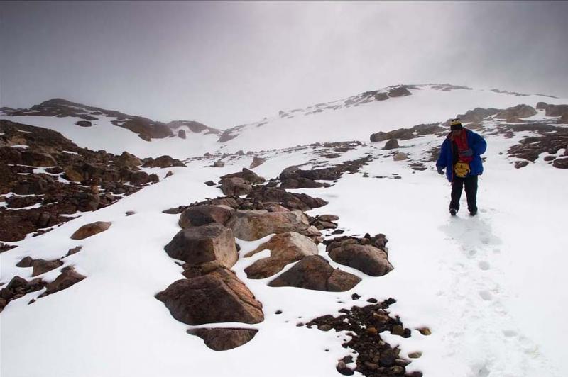 Parque de los Nevados, Nevado del Ruiz, Caldas, Co...